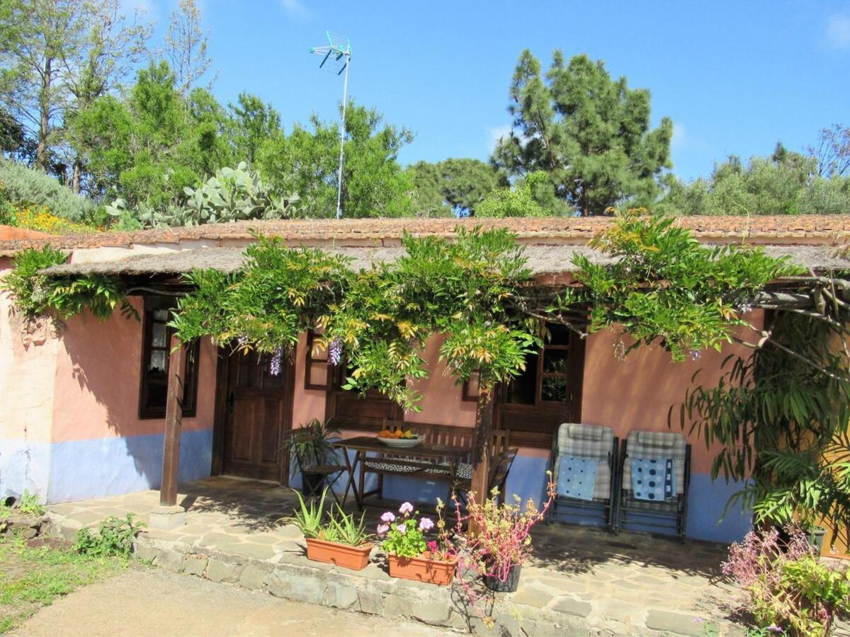Casa Rural El Alpendre Vega de San Mateo Zewnętrze zdjęcie