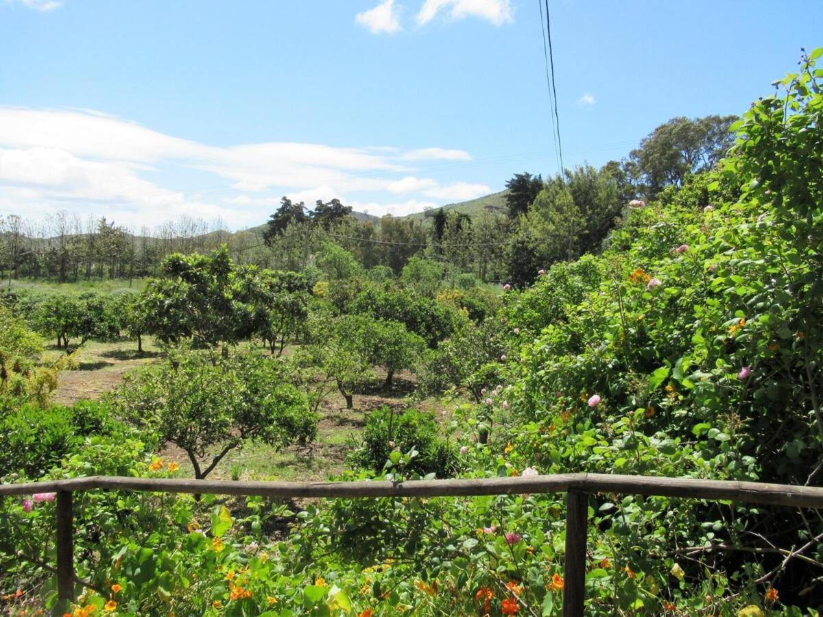 Casa Rural El Alpendre Vega de San Mateo Zewnętrze zdjęcie